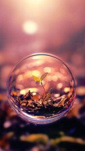 iphone-7-wallpaper-11