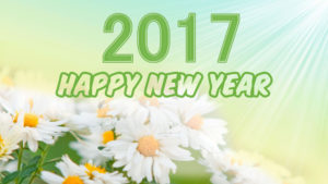 happy-new-year-2017-hd-wallpaper